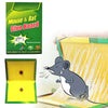 202 Green Mice Glue Traps (1pc)